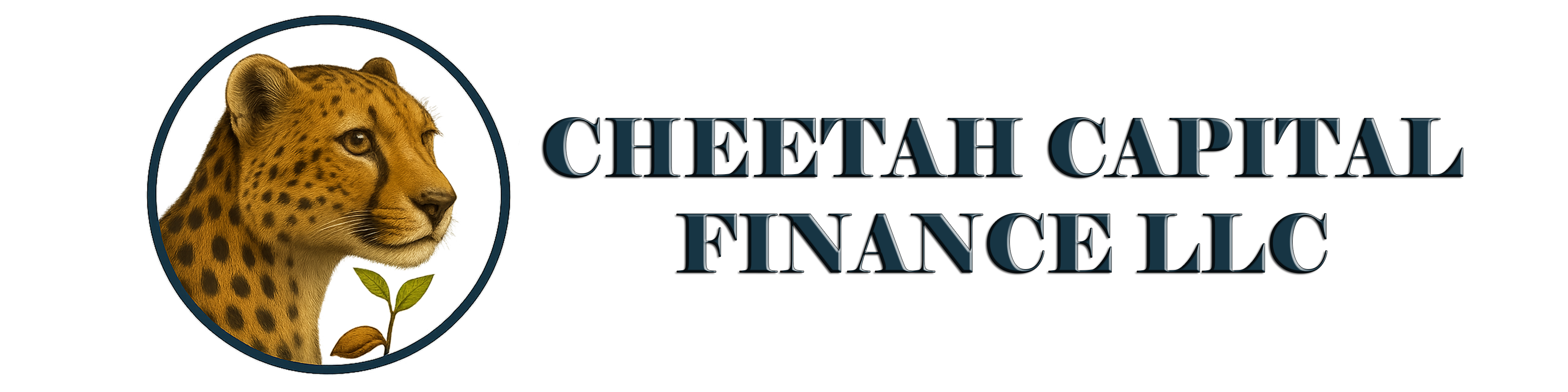 Cheetah Capital Finance LLC